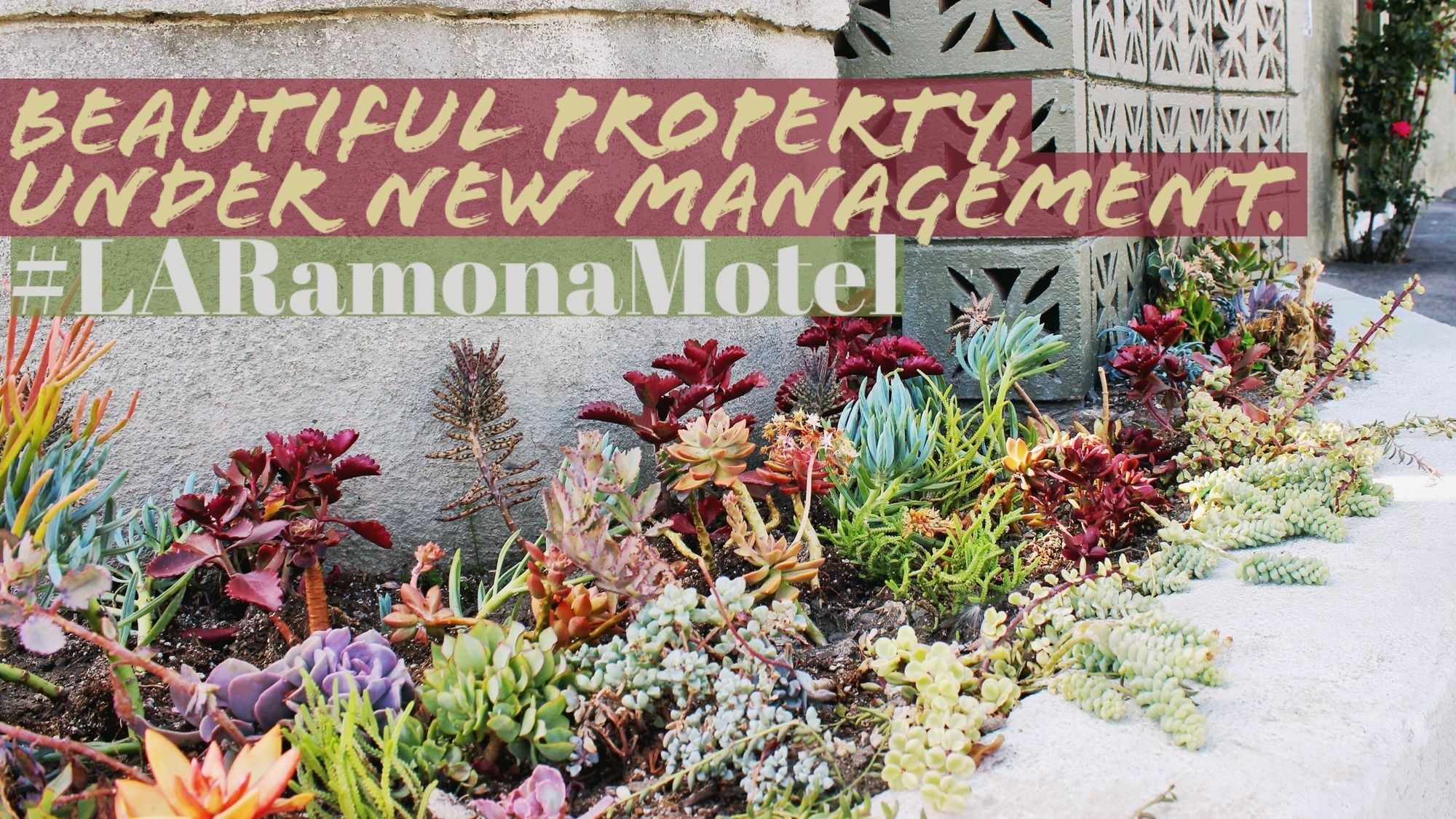 Ramona Motel Los Angeles Exteriér fotografie
